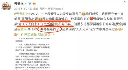 圈圈爆料娱乐圈,揭秘明星幕后故事